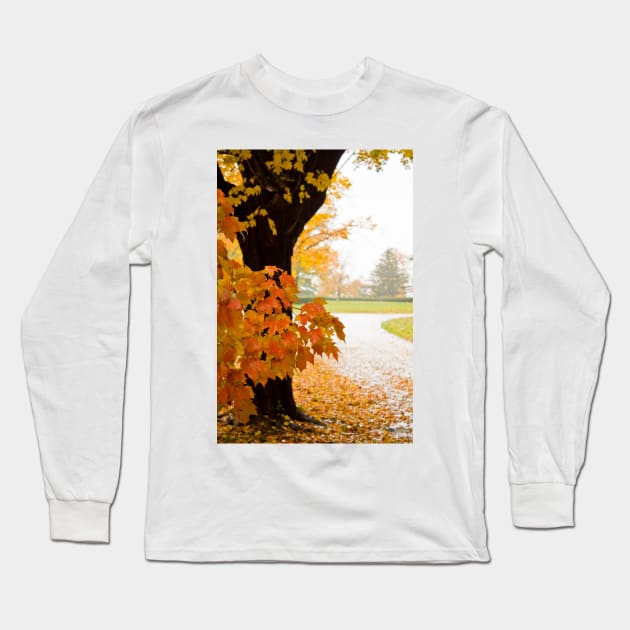 Fall Colors Long Sleeve T-Shirt by vadim19